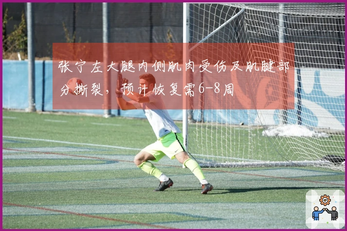 张宁左大腿内侧肌肉受伤及肌腱部分撕裂，预计恢复需6-8周