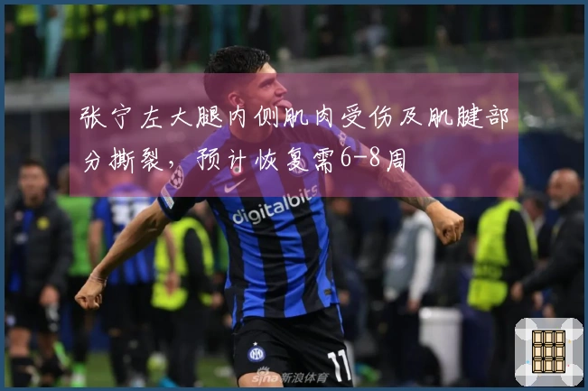 张宁左大腿内侧肌肉受伤及肌腱部分撕裂，预计恢复需6-8周